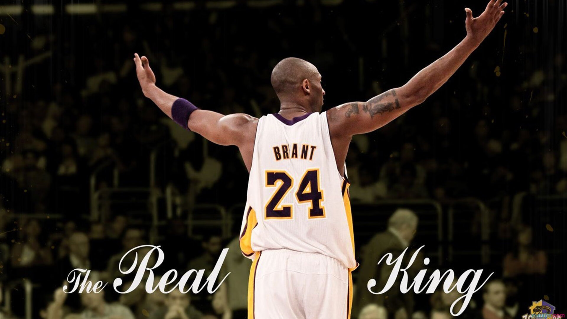 公牛队奋勇前行，冲击更高目标，公牛队崛起