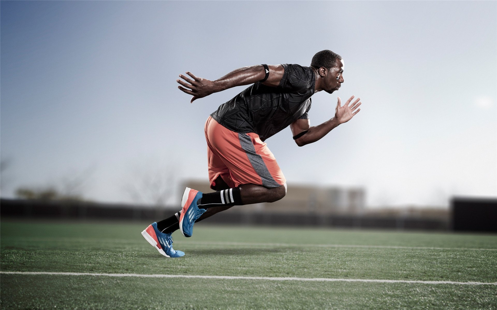 华体会登入-体育场馆智能管理平台构建与运行效率分析，体育场馆智慧管理系统